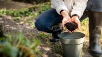 Turning everyday food scraps into nutrient-rich compost has never been easier. The Reencle Home Composter offers a fast, odor-free, and convenient solution for households that want to reduce waste while supporting their garden or plants. Here’s a detailed look at how it works and why it’s gaining attention among eco-conscious homeowners.